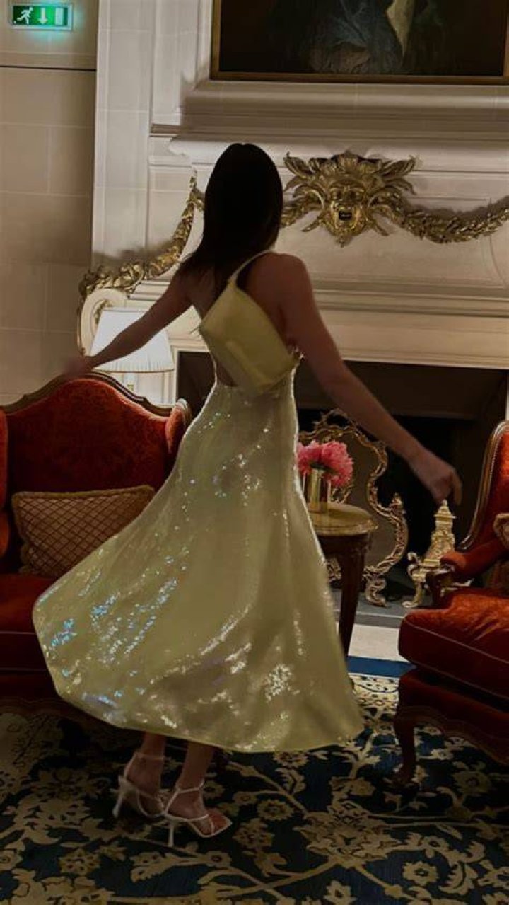 Kendall twirled happily in one photo, showing off her matching bag and strappy shoes as her $6,700 gown caught the light