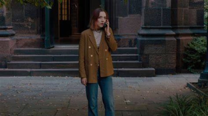 lady bird nyc ending (Custom).jpg
