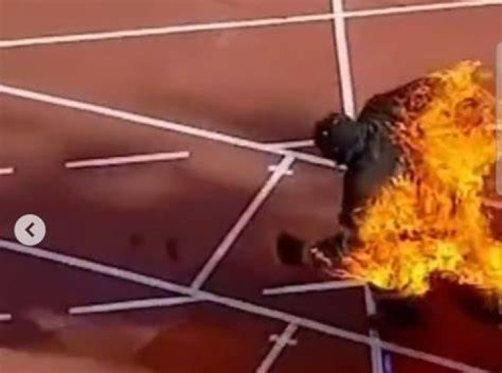 Man sets himself ablaze on Pennsylvania Avenue, and North Lawn is cleared Fox News