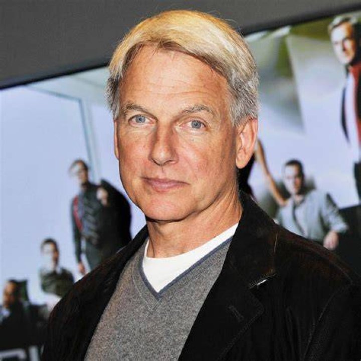 Mark Harmon's Biography Wall Of Celebrities
