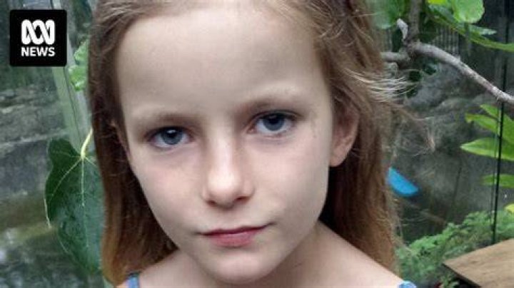 Nineyearold Natalya Franklin found safe and well in bushland on NSW midnorth coast ABC News