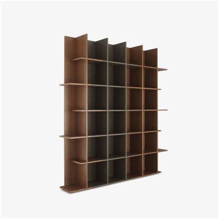Oka said the bookcase was screwed into the wall to prevent what happened