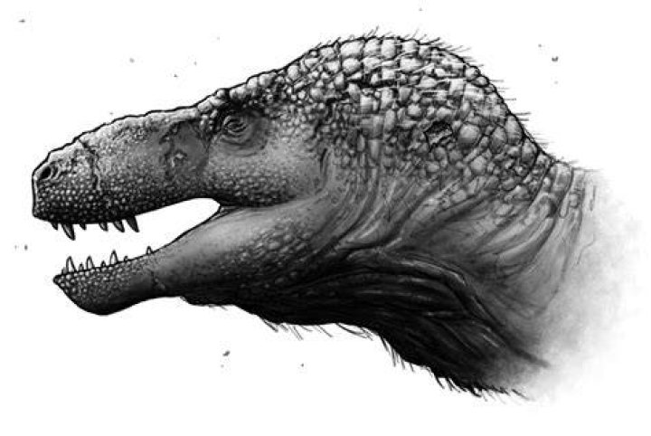 old man dinosaur