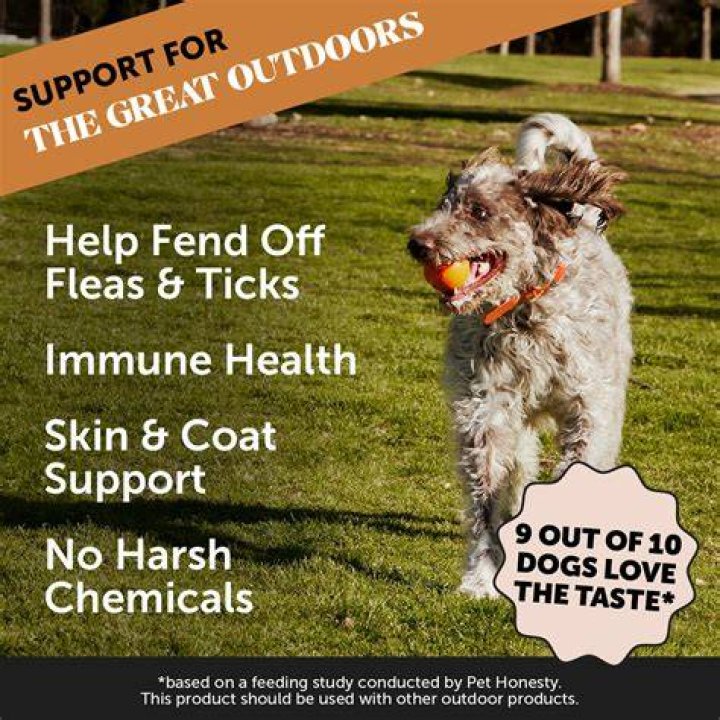 Pet Honesty Flea & Tick Support Supplement (3)