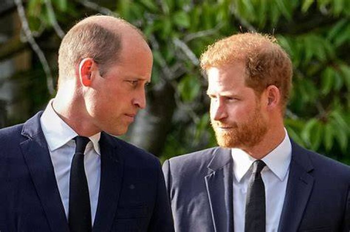 Prince Harry Refers to Prince William as His ‘Archnemesis’ in ‘Spare’ Memoir, Says Brothers Had a ‘Million Physical Fights in Our Lives’