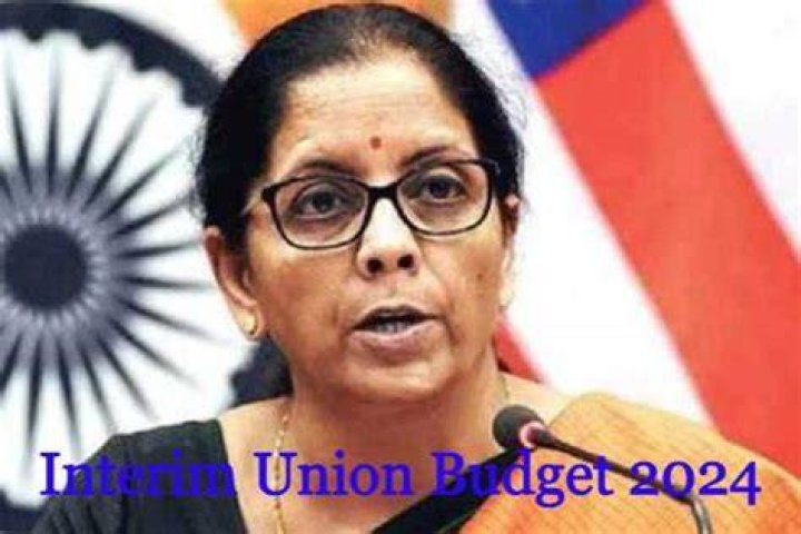 PT Usha, Interim Union budget