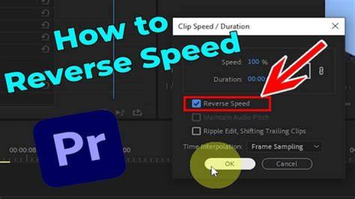 Question: How To Reverse A Video Clip In Premiere Pro