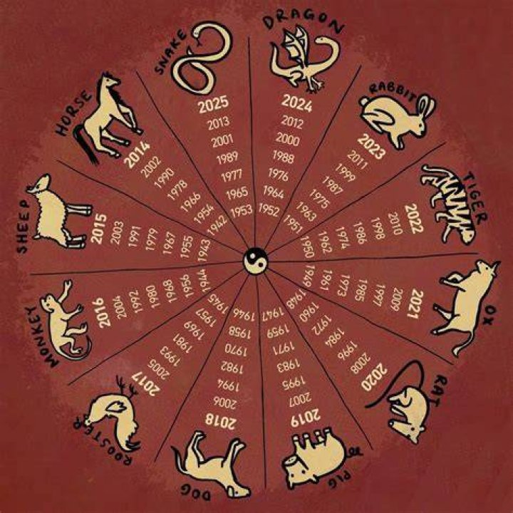 Signs of the Chinese zodiac exist in harmony according to the Yin Yang philosophy