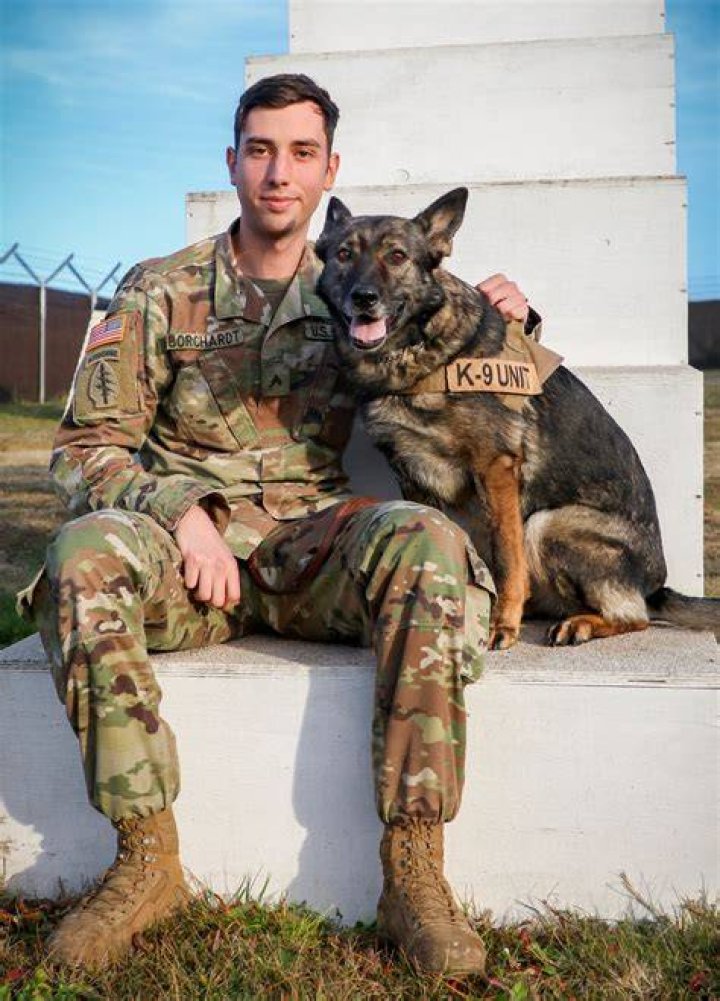Soldier the dog