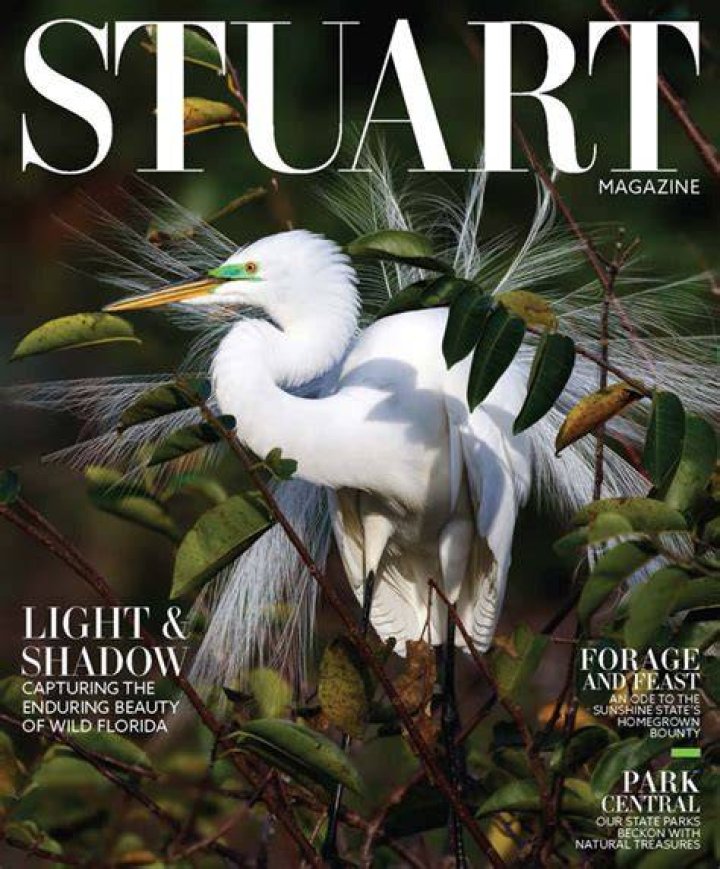 Stuart Magazine