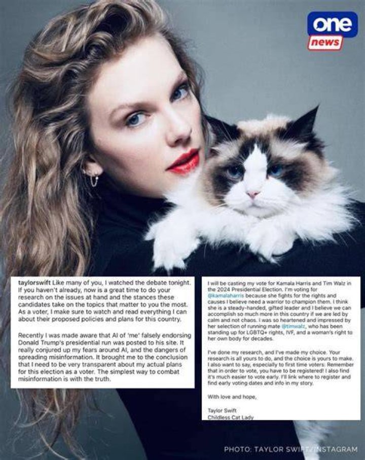 Taylor Swift Endorses No One Singer Won't Talk Politics