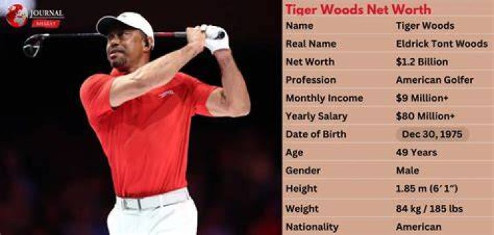 Teri Woods Net Worth, Income, Salary, Earnings, Biography, How much money make? Teri Woods Net Worth, Income, Salary, Earnings, Biography, How much money make?