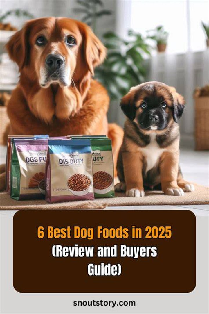 The 6 Best Dog Foods for Small Dog Breeds in 2021