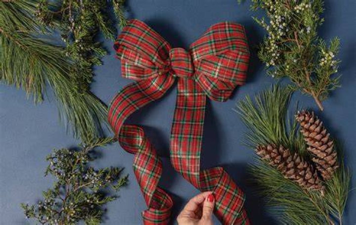 The bow added a festive touch to the present