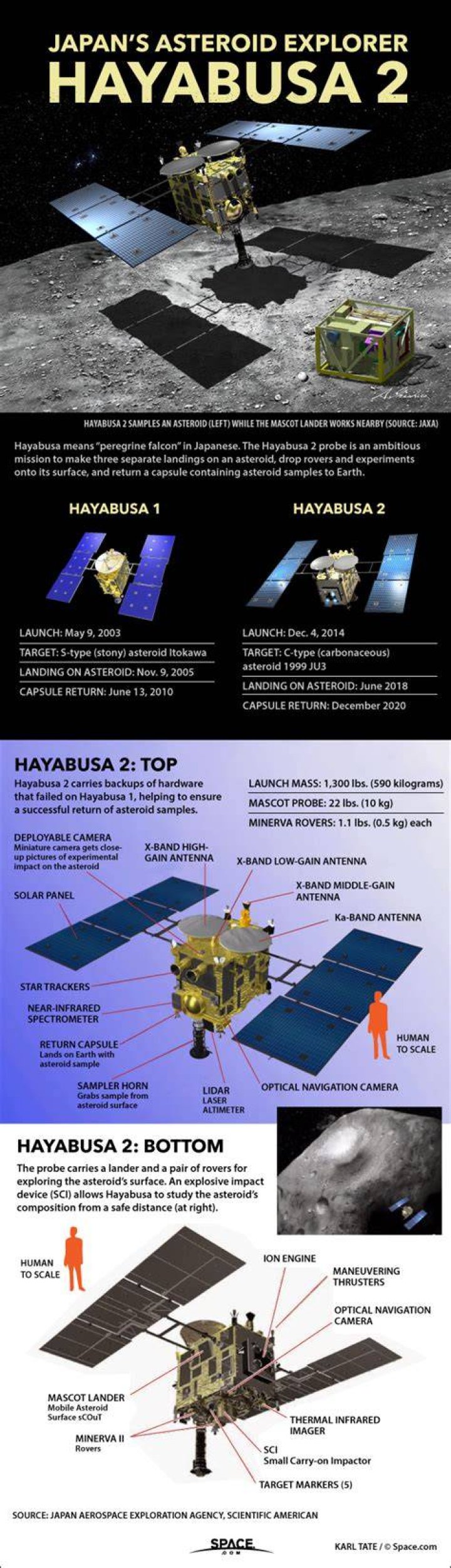 The Japanese Hayabusa 2 probe captured this image of the Ryugu asteroid.