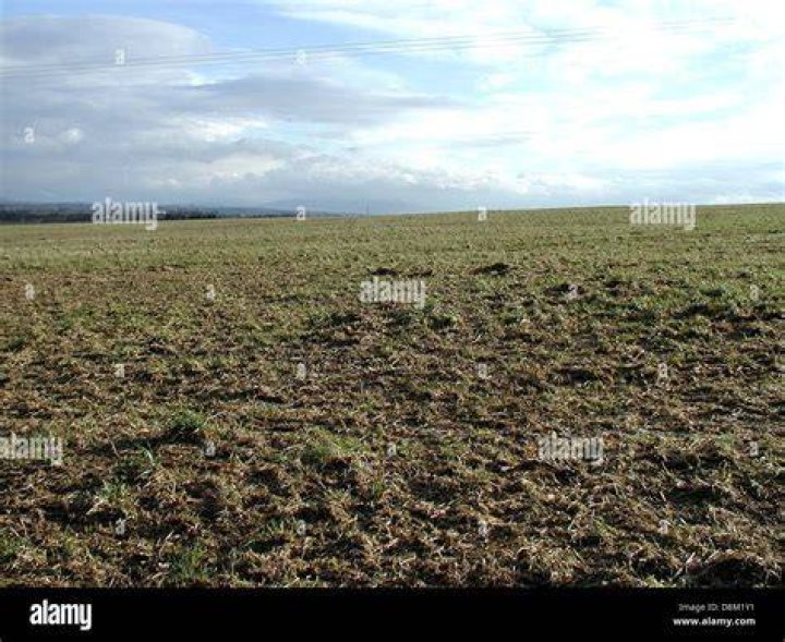 The land stretches for as far as the eye can see