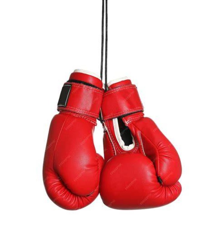 The pair are boxing and MMA's hot power couple