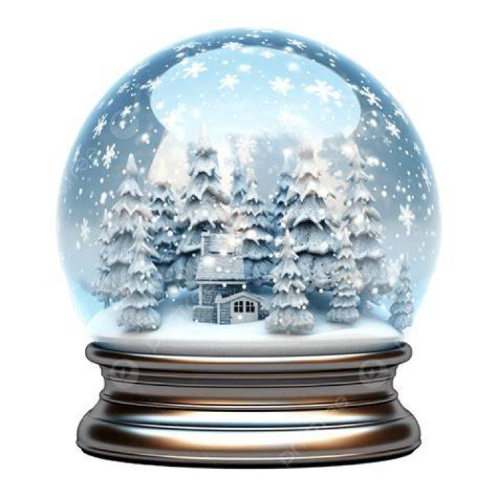 This snow globe resold for $130