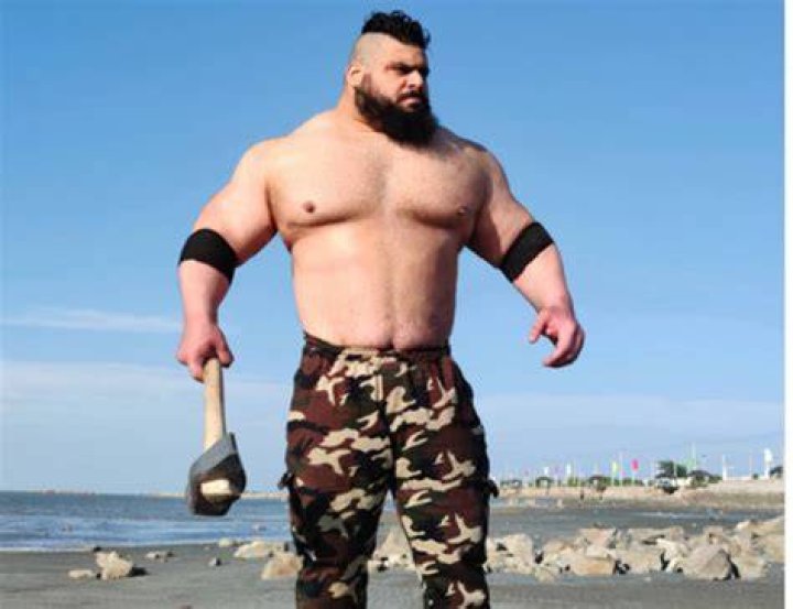 Titan has called out Gharibi for a boxing fight