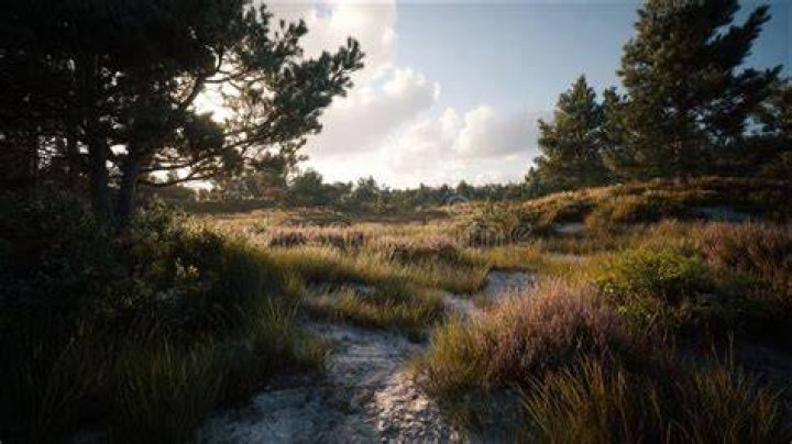 Tranquil environs. Photo by Heather Slesar