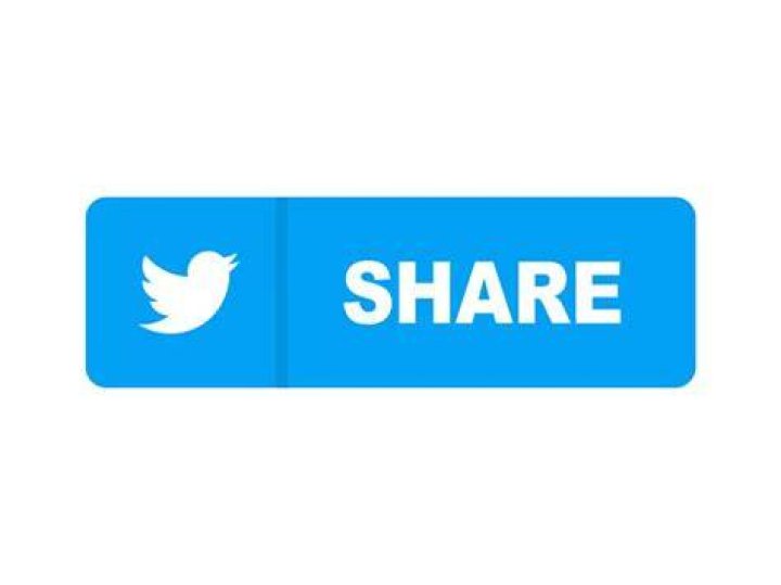 Twitter Share Icon