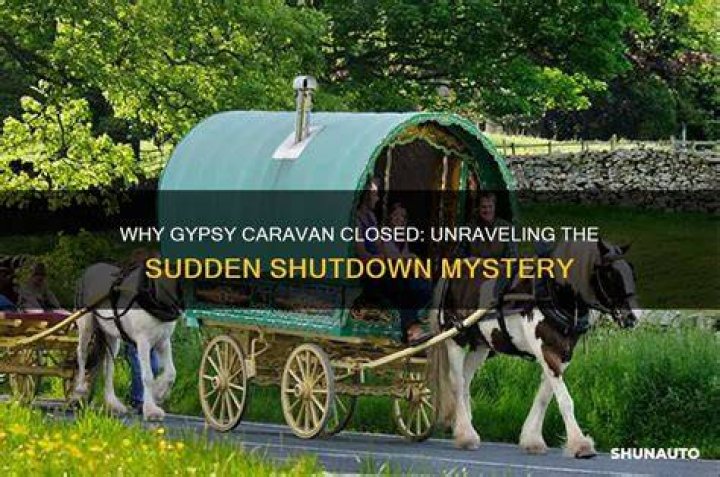 Unraveling The Mystery The Gypsy Rose Crime Scene Photos
