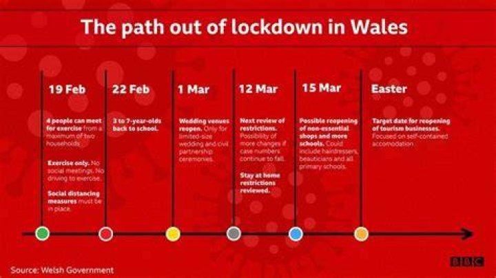 Wales right on Covid lockdown exBoris Johnson aide BBC News