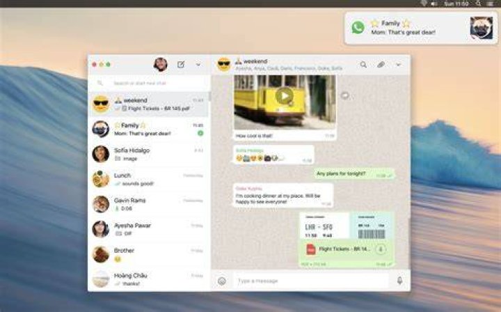 whatsapp, whatsapp for mac, whatsapp, mac, how to download mac on whatsapp, tech news