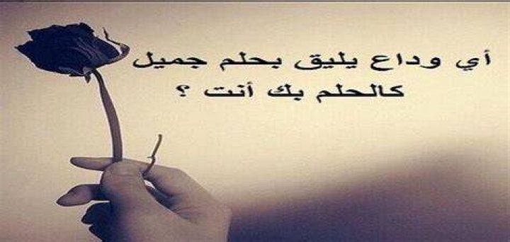 خواطر عن الوداع
